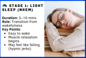 Light Sleep (NREM) Light Sleep (NREM)