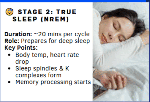 True Sleep True Sleep