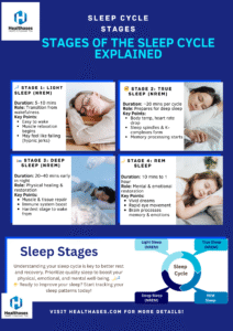 Stages of Sleep Cycle Infographic Stages of Sleep Cycle Infographic