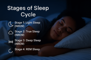 4 Stages of sleep cycle 4 Stages of sleep cycle
