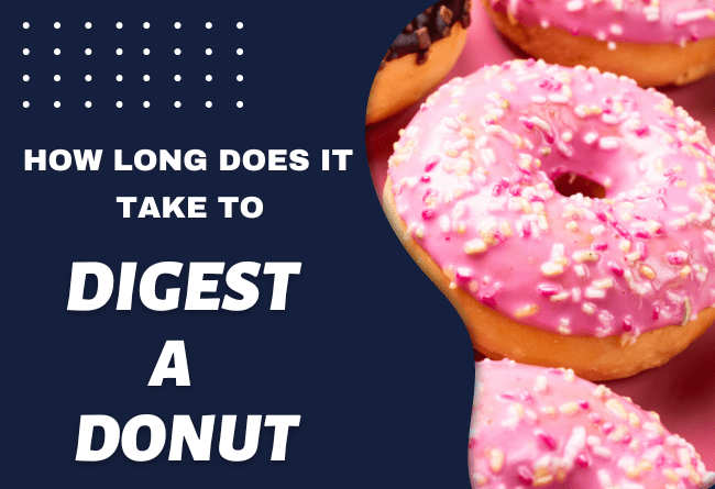how long does it take to digest a donut