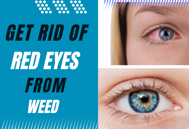 how-to-get-rid-of-red-eyes-from-weed-healthases