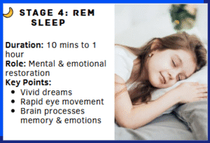 REM Sleep
